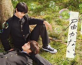 商洛公司网站优化建设